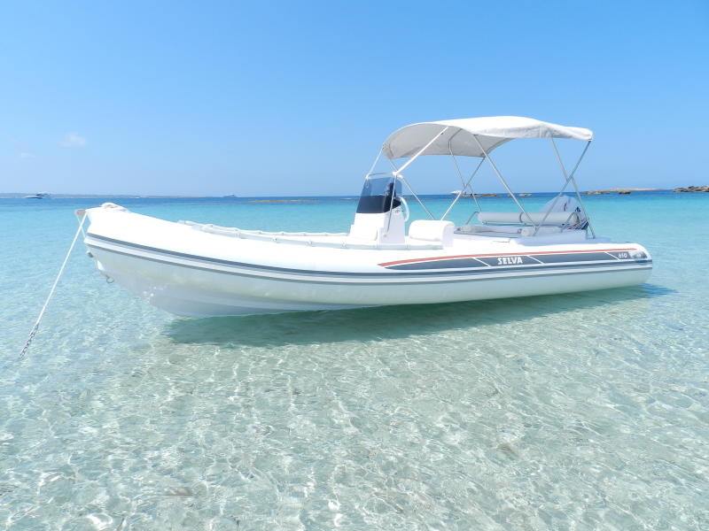 Selva D600